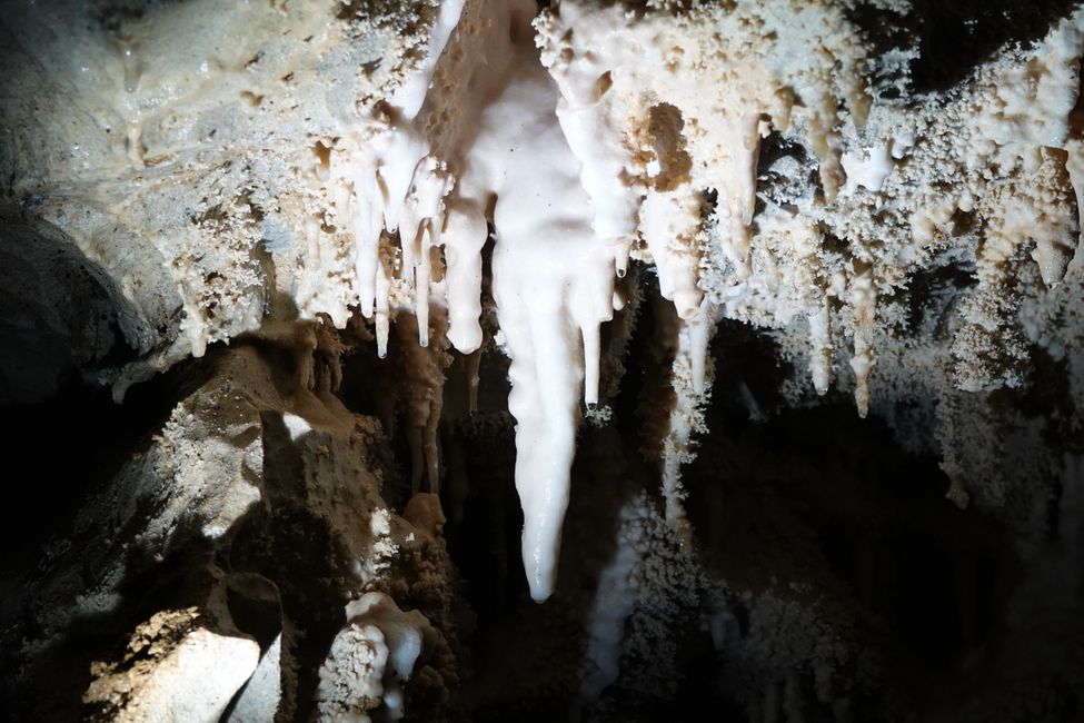 Grotte di Waitomo ....