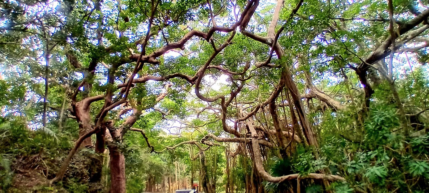 Parque Nacional Kenting