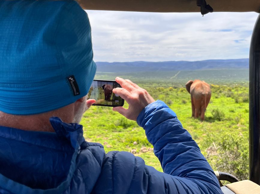 Addo Elephant Park