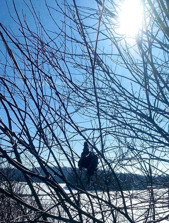 Reset - Neve di ieri, o quale fondamento vuoi costruire?
