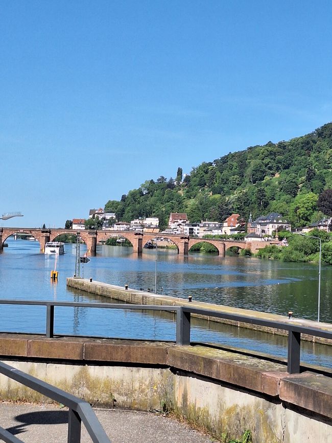 Heidelberg's alte Brücke 