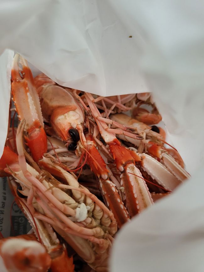 TAG 6 - Tréguier - come da pesce -> torta è stata fatta