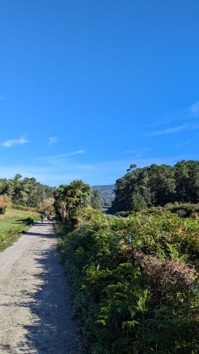 Twelfth Stage Camino Portugues from Caldas de Reis to Padron