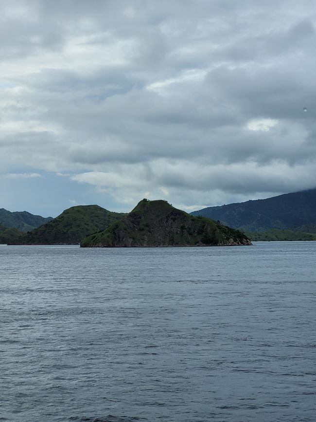 Day 110 of 175: Cruise around the world - Komodo/Indonesia