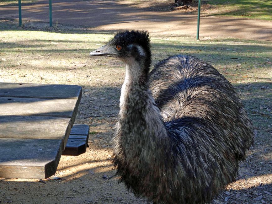 Halls Gap - Grampians-Nationalpark