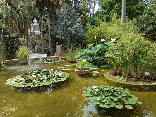 Valencia Stadt und Botanischer Garten