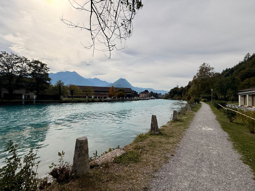 Vue depuis le bar sur le toit