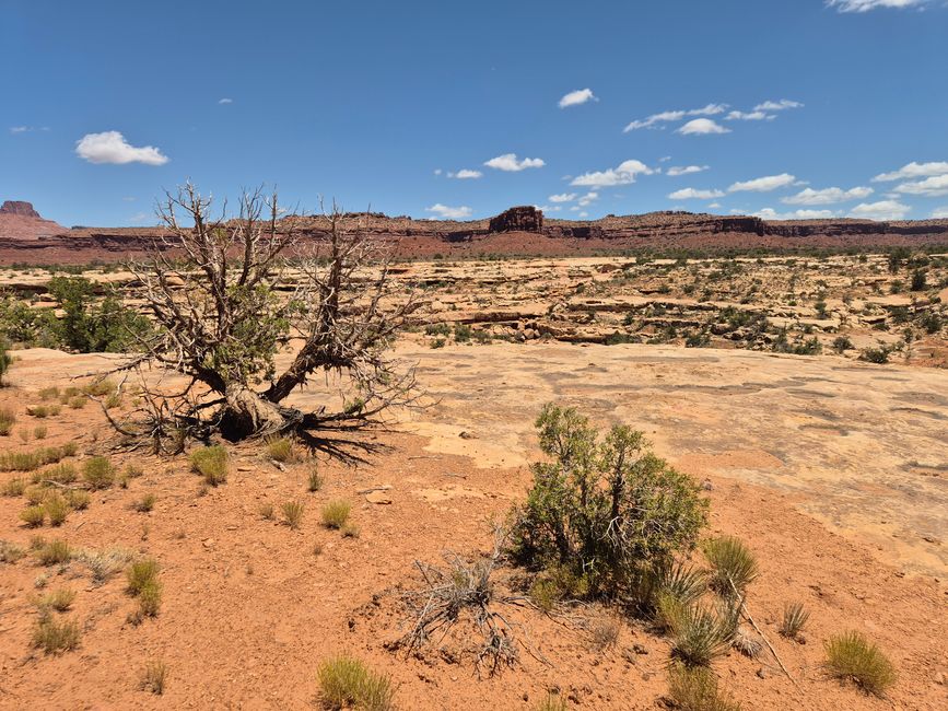 Weg zum  Bryce Canyon