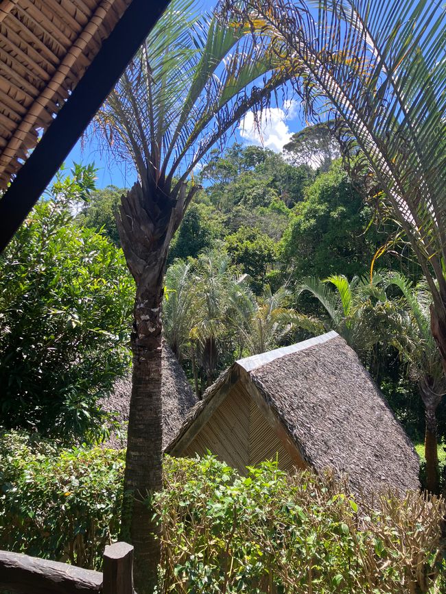 Maravilla de la naturaleza - Parque Nacional Andasibe