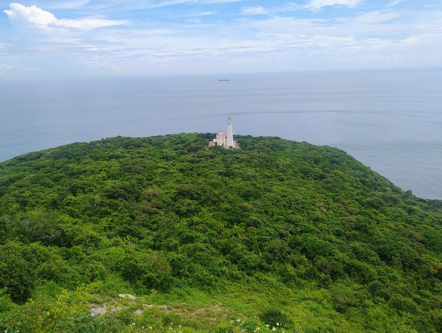 交错生长的树木