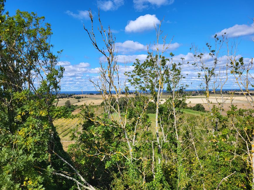 Blick von der Burganlage Bårby borg