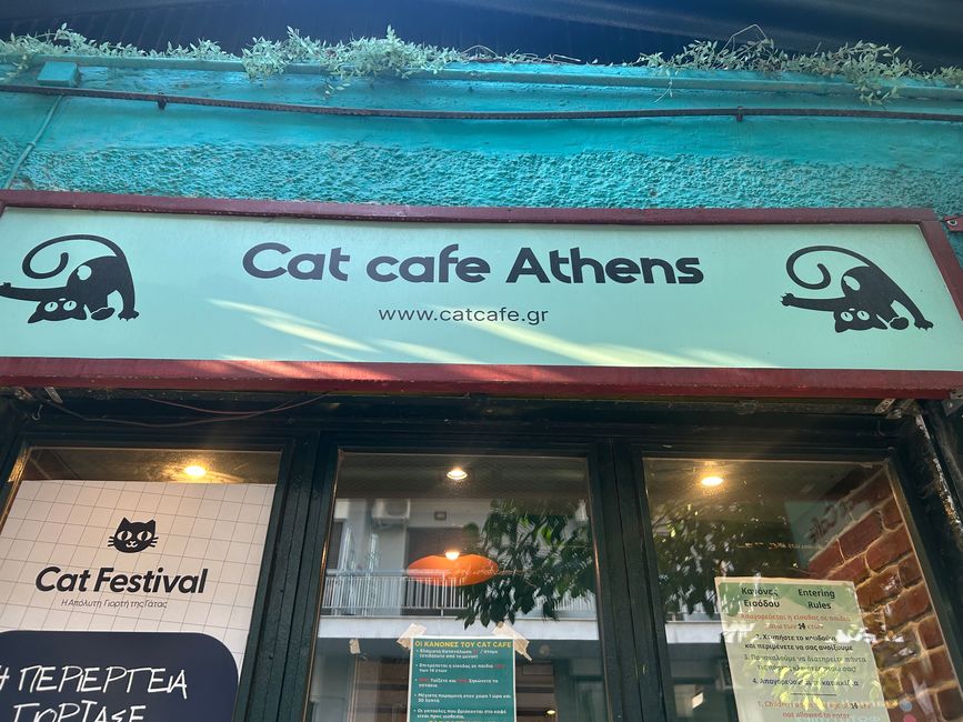 Katzen Café