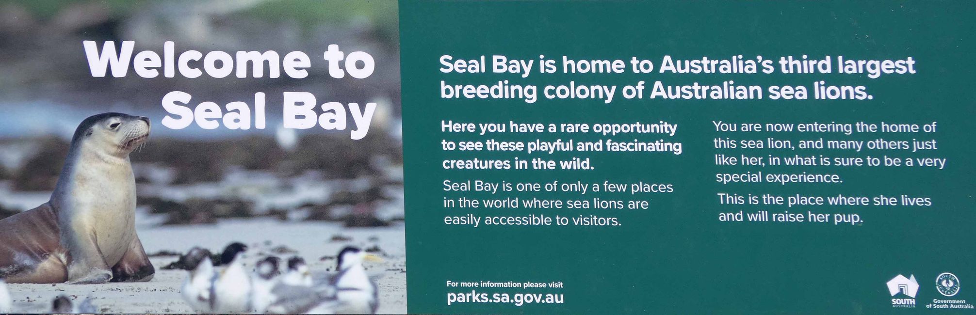 Kangaroo Island