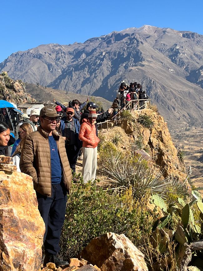 Touristes au Canyon de Colca