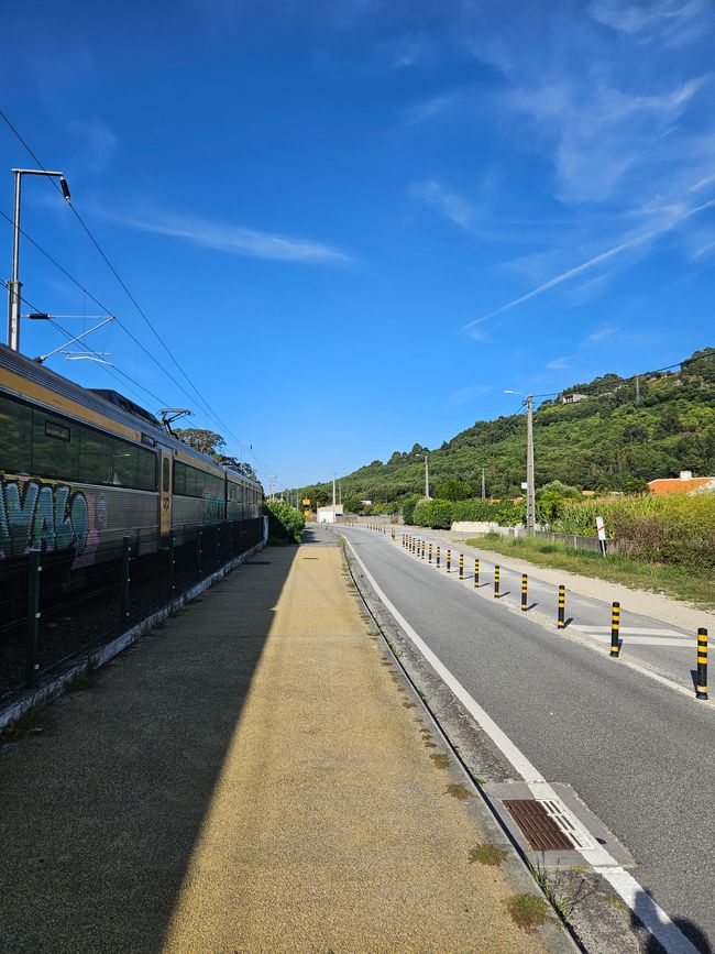 Stage 5: Viana do Castelo - Caminha