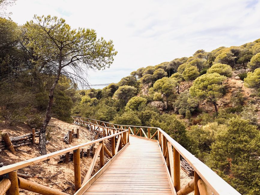 Gone with the Wind: Tarifa, Europe's Wind Wonderland!