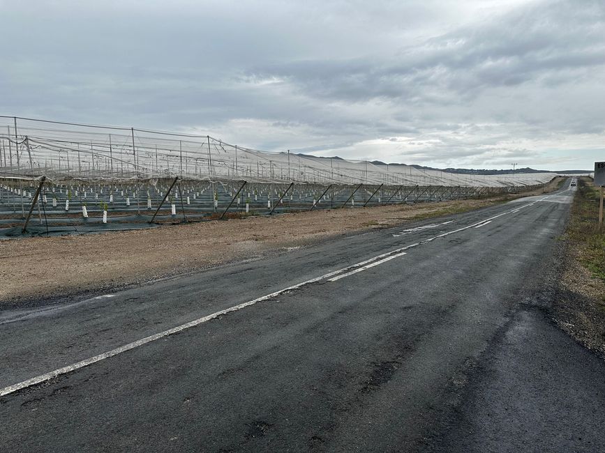 The Rabbit Track