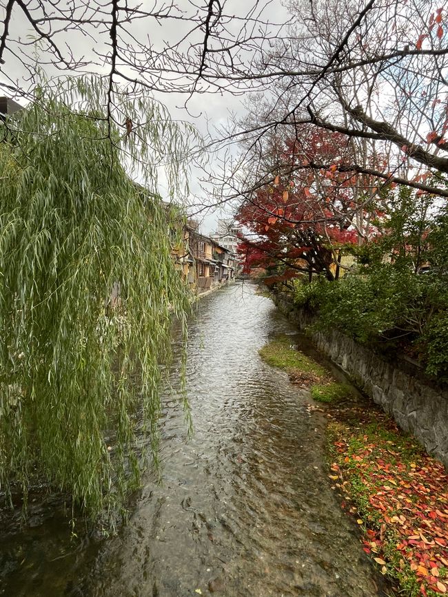 32. Kapitel: Bei den Geishas in Gion, ein sehr frohes Wiedersehen und einmal im Leben Thunfisch-Sushi satt