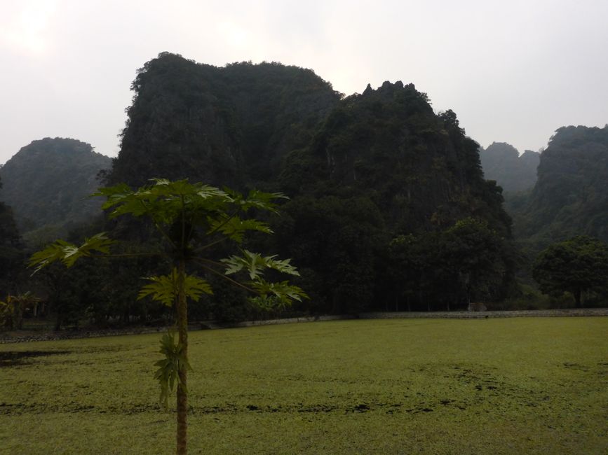 2025-01-05 Vietnam, Ninh Binh