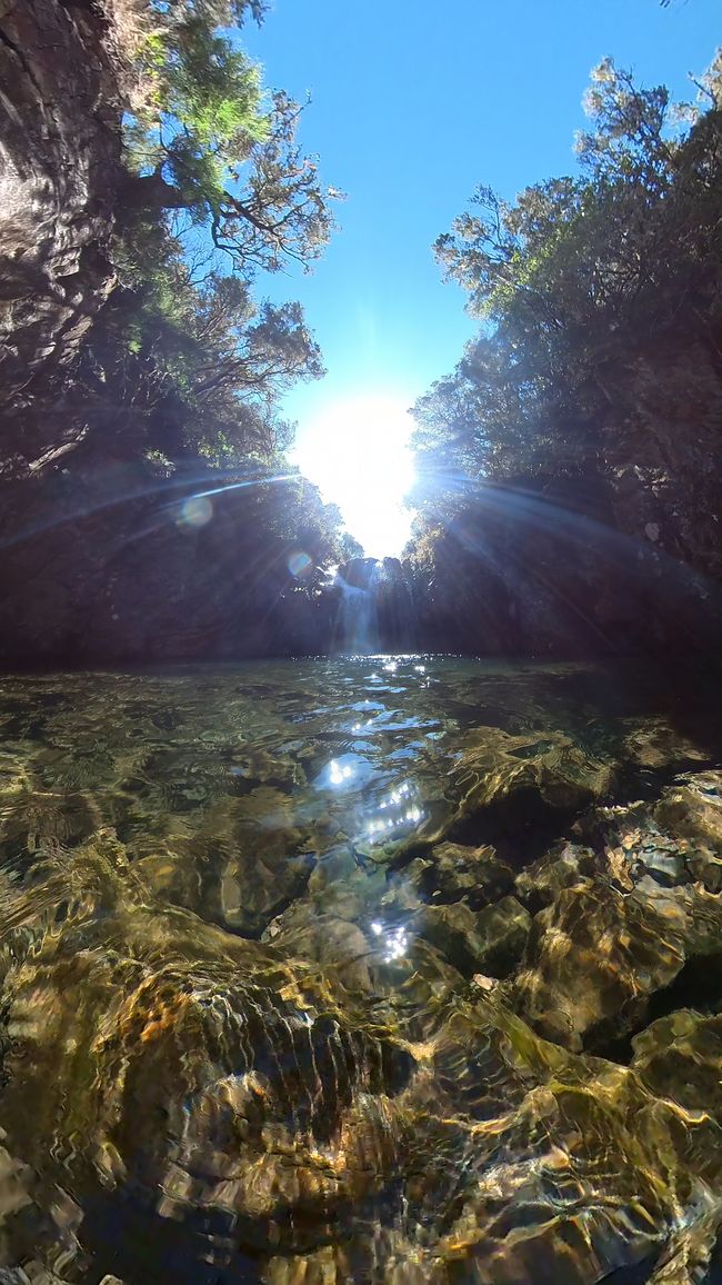 Tag 11: Levada do Alecrim und ein Open Air Festival