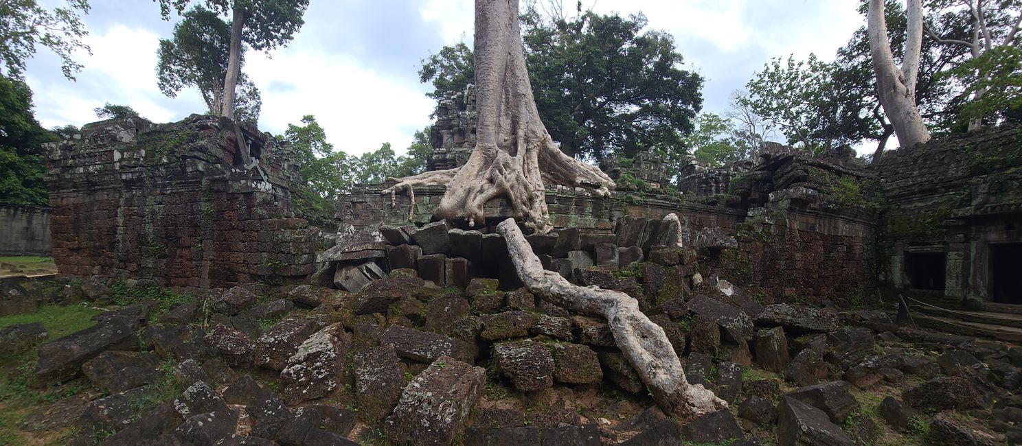 Ta Prohm