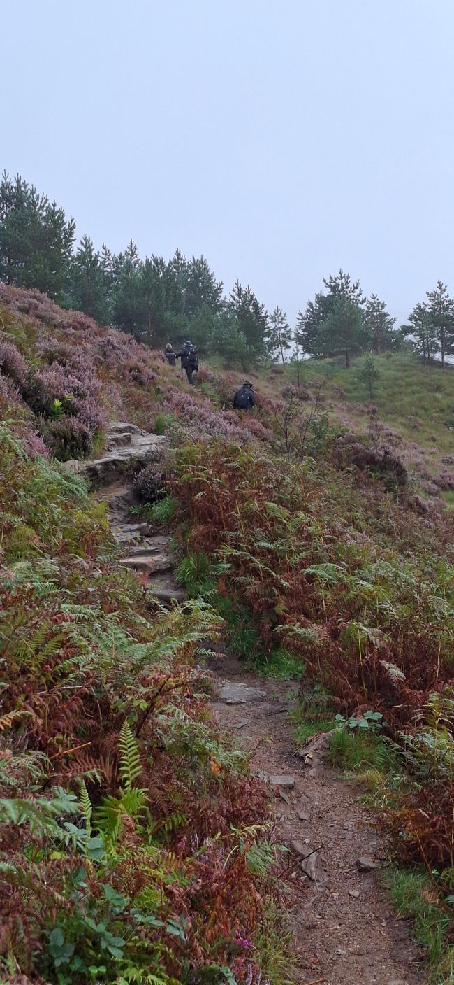 Tag 9 - Fort William <-> Mallaig