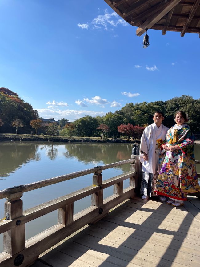 15. Capitolo: Visita al grande Buddha e sabato pomeriggio nel parco con proposta dal vivo