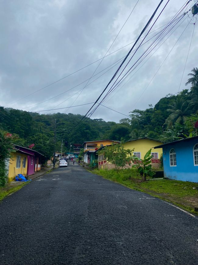 Panama 🇵🇦 🌴