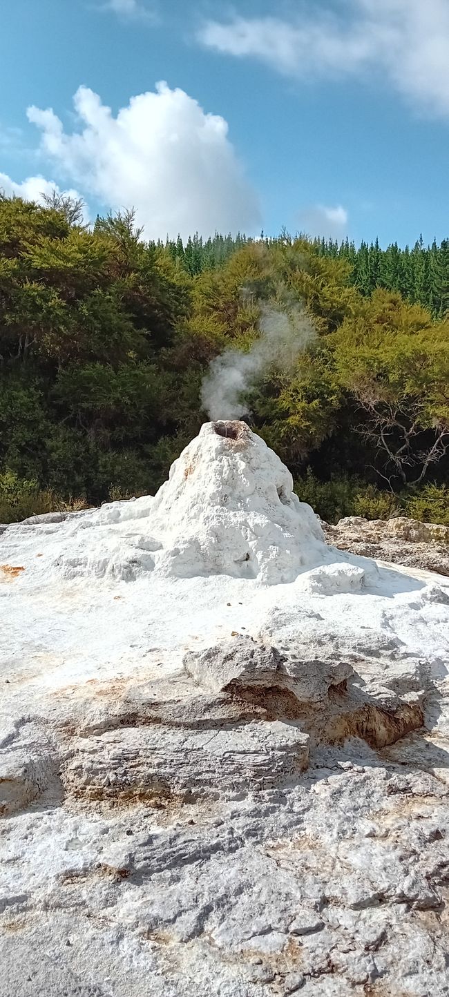 Wai-O-Tapu / Rotorua