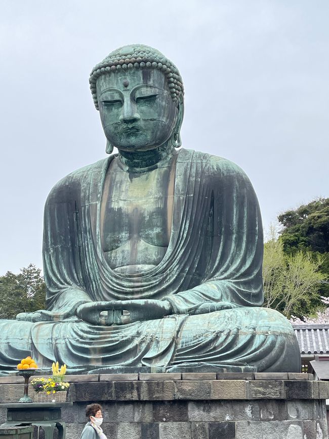 Kamakura-Daibutsu Buddha