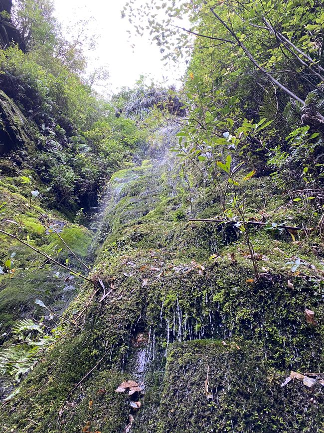 Lugar de descanso