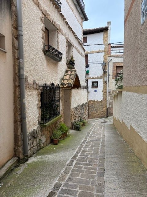 8. Tag 
Puente la Reina - Estella