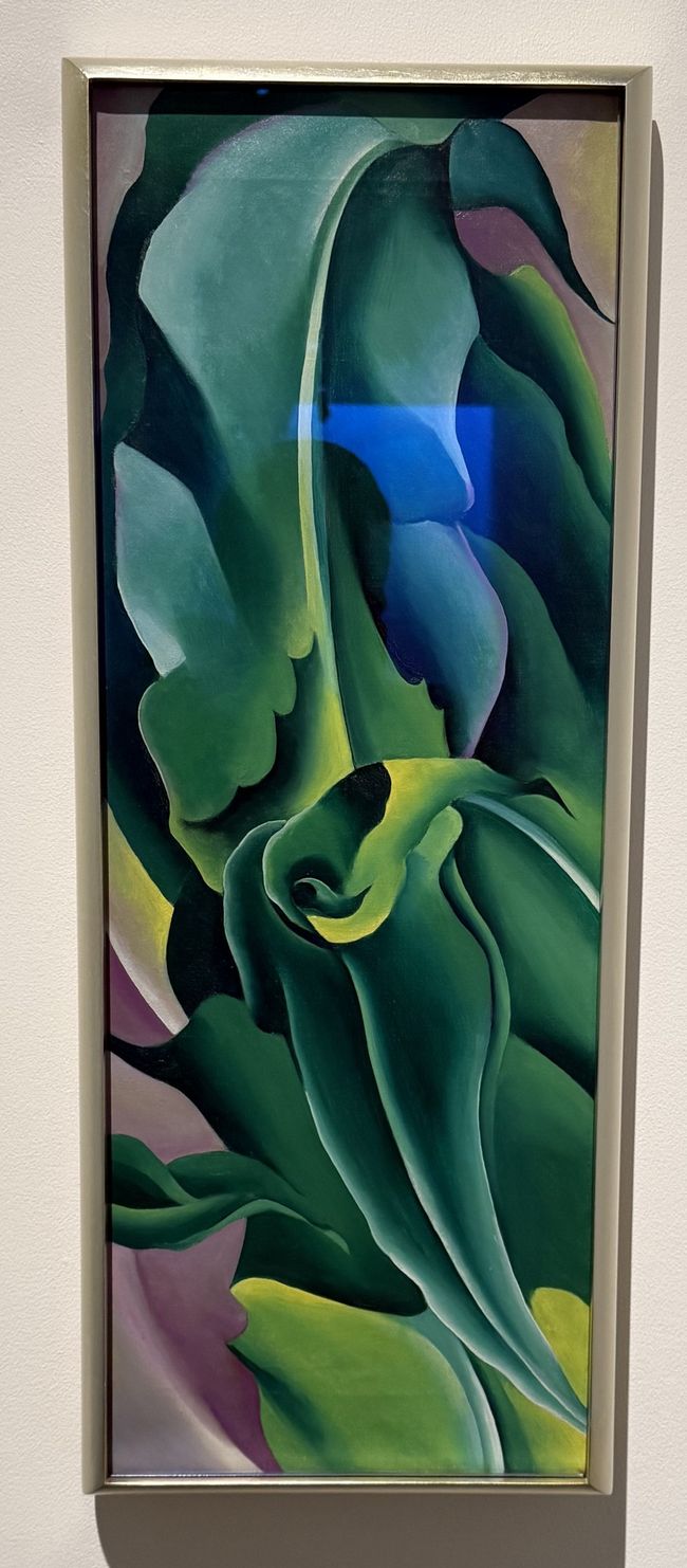Musée Georgia O'Keeffe