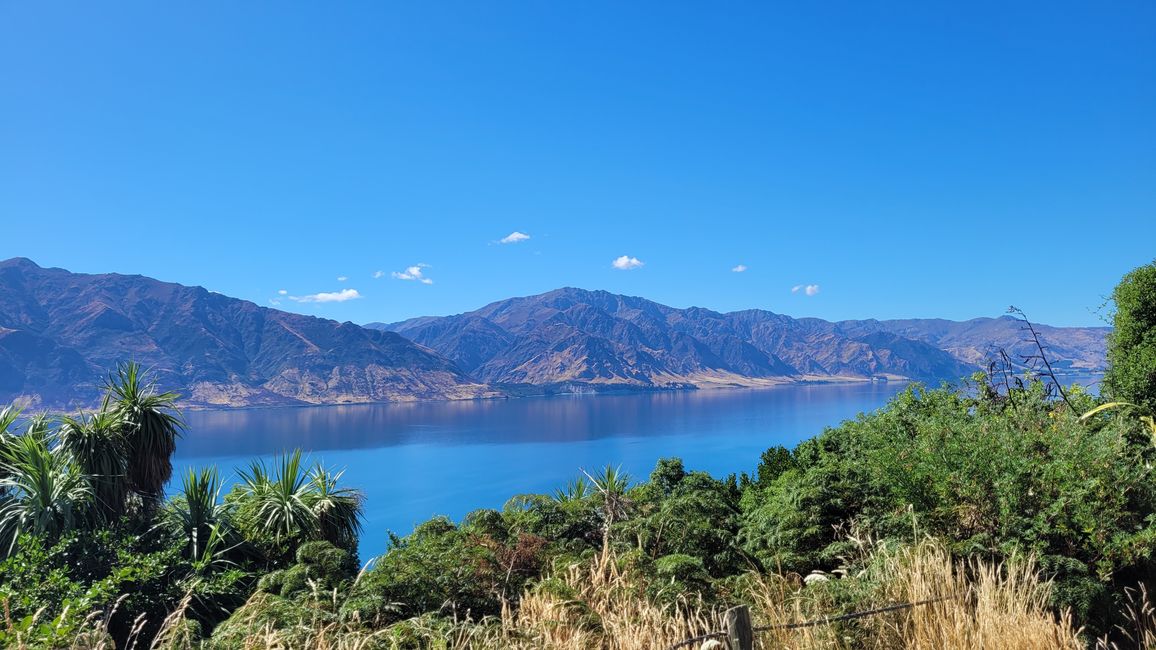 29.Januar-27.februar 2025 Neuseeland
12.Februar
