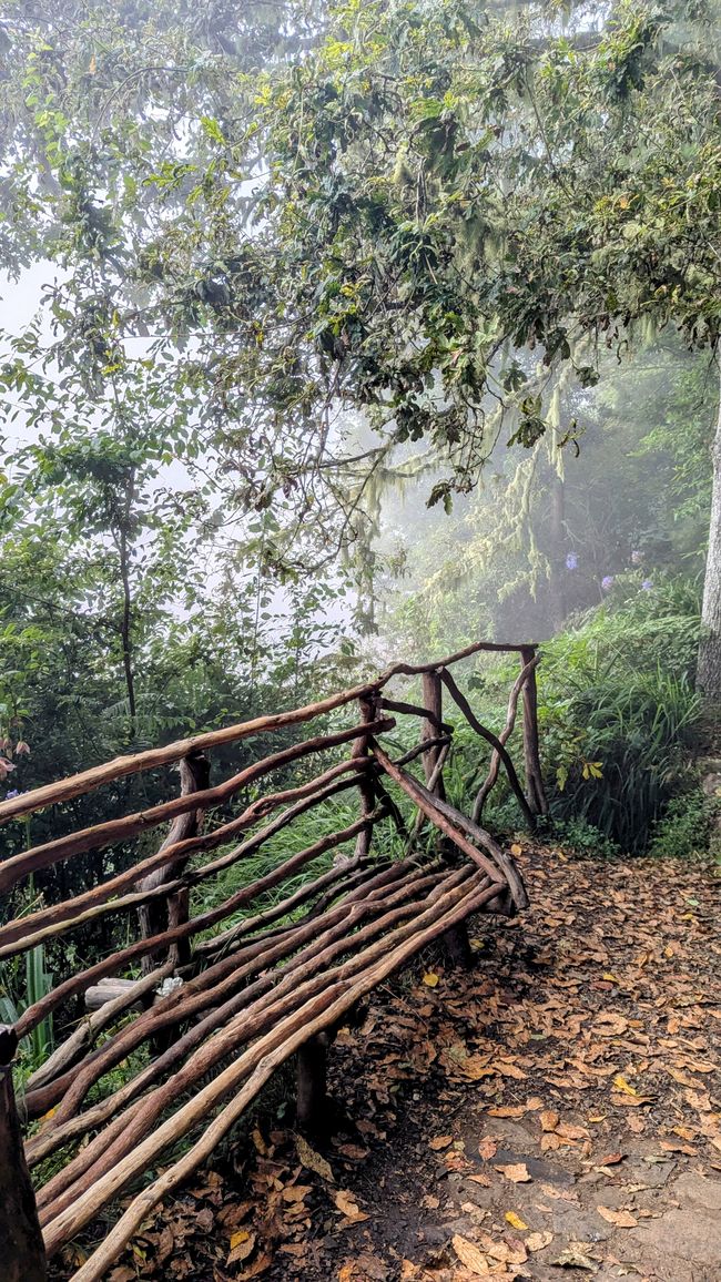 Sieht nicht so bequem aus