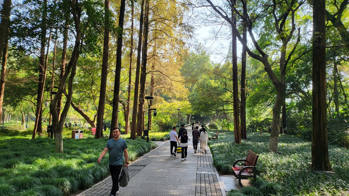 Parque en el Lago Oeste