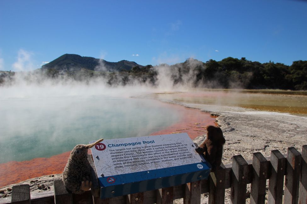 Volcanoes, thermal springs and smaller hikes on the North Island