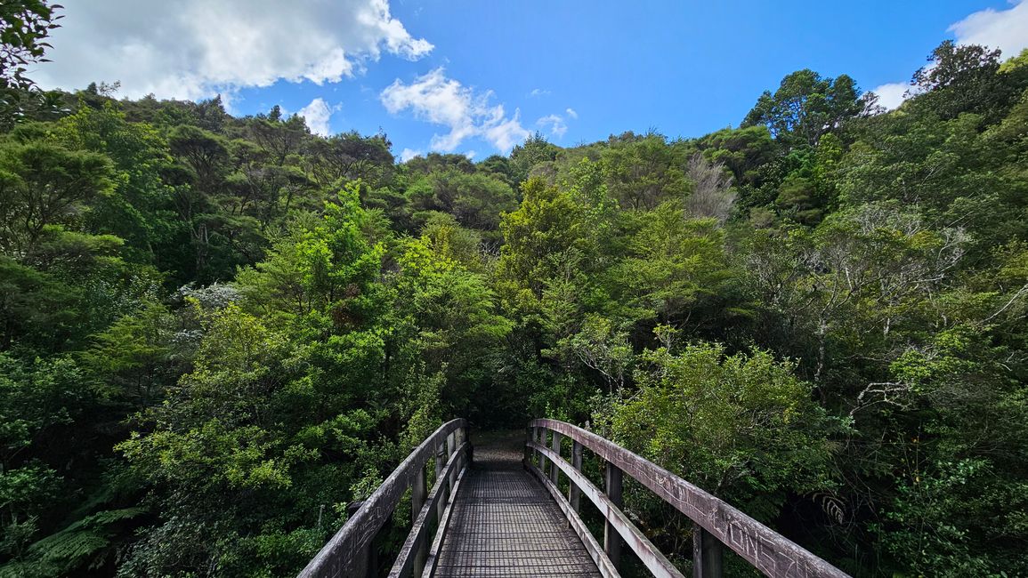 Whangamatā - Mount Paku - Hot Water Beach