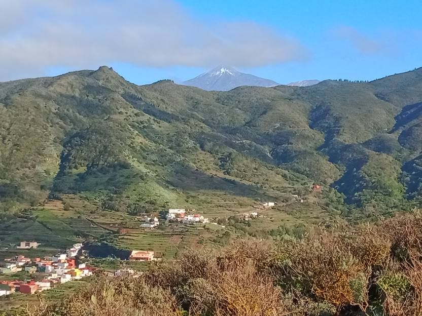 Panorama mit Teide im Hintergrund