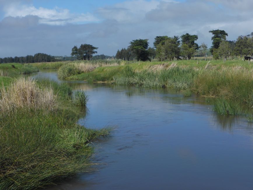 Kaihu River