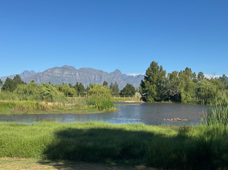 Weihnachtstage in Stellenbosch