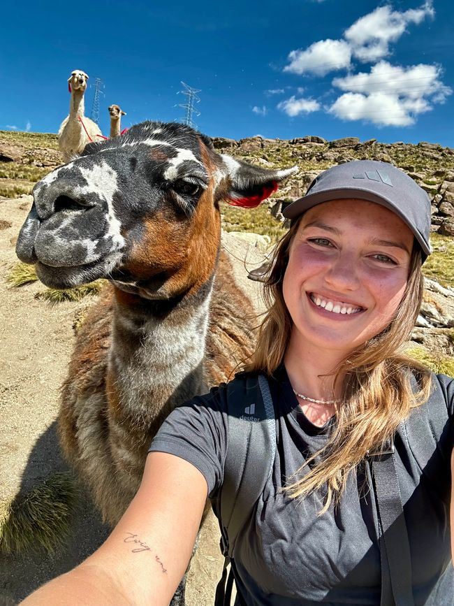 My friend, the llama, and I
