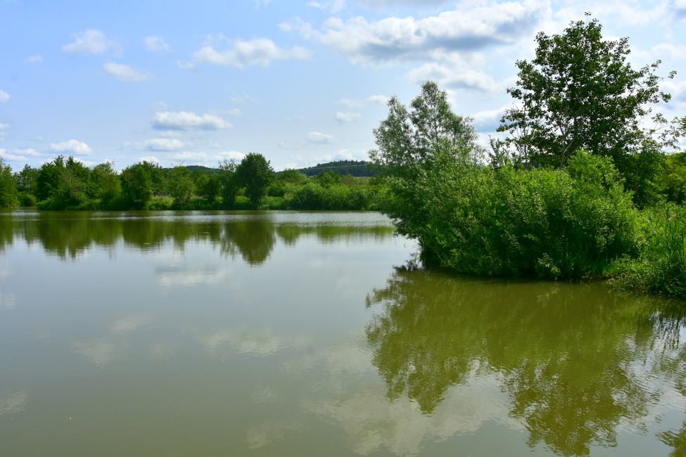 * * * S E C H T A S A F A R I - der Auerochsenweg
bei Bopfingen * * *