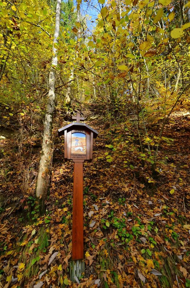 Autumn hiking in the Wutach Gorge: Red, yellow, orange... and you're right in the middle!