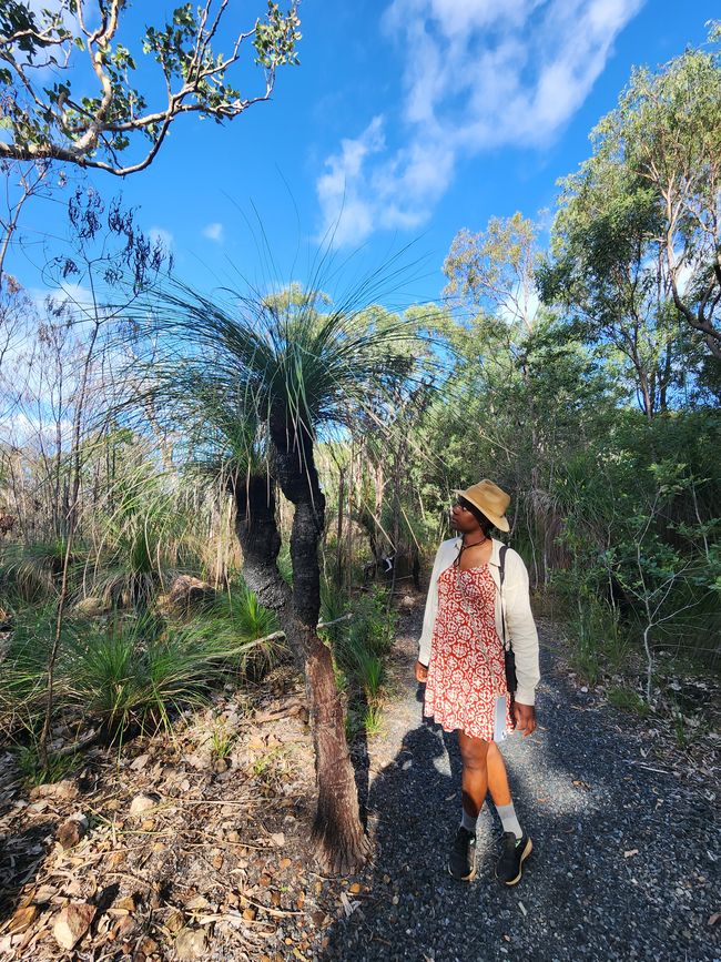 Tag 20, 14. Mai, Cape Hillsborough Nationalpark
