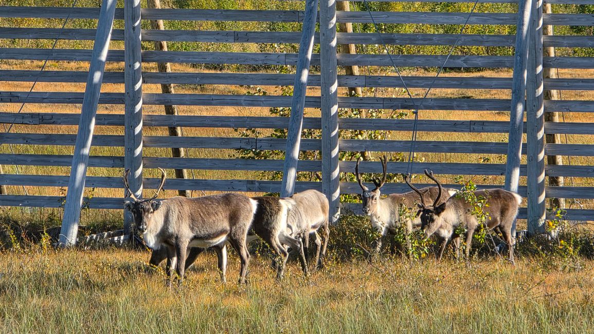 Norvegia-Nordkapp 1-17 Settembre 2025
15 Settembre