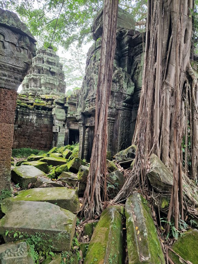 Baphuon und Ta Phrom - Himmelsleiter und himmlischer Ort
