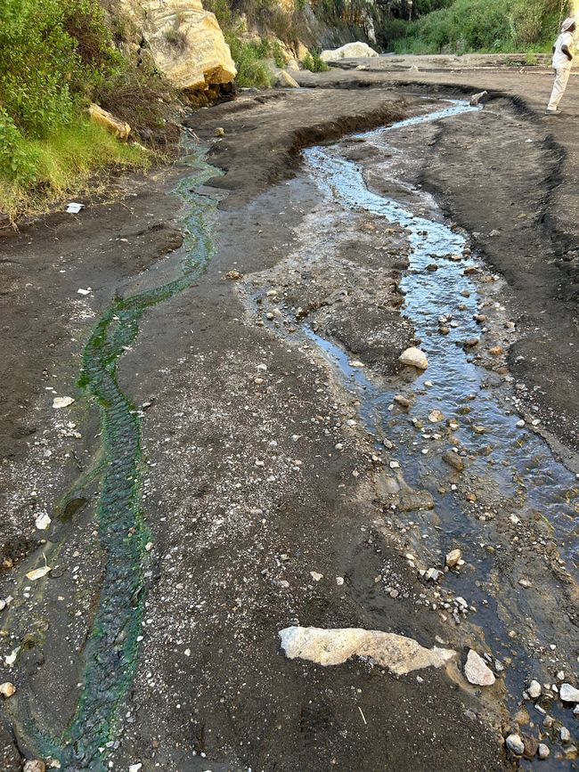 Nashörnchen in Ol Pejeta und Flusspferde in Naivasha