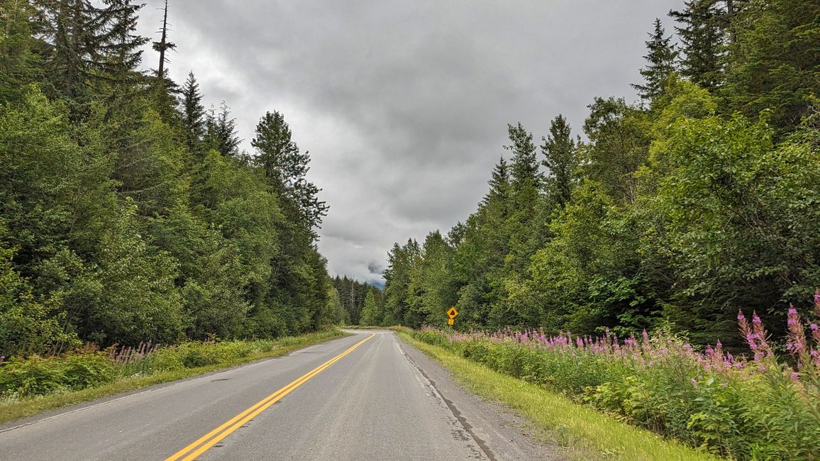 Tag 16: Stewart,BC / Hyder,AK - Meziadin Lake: Bear Stalemate