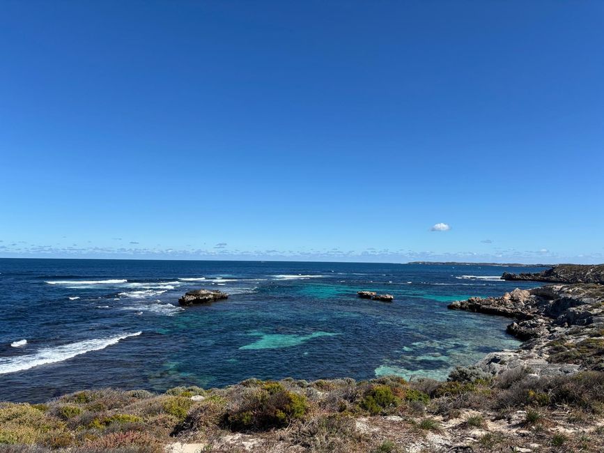Rottnest Island
